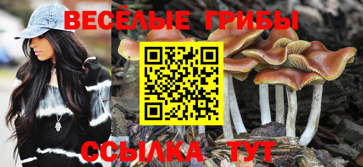 Галлюциногенные грибы Psilocybine cubensis Сертолово