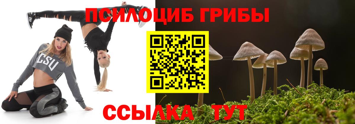 Галлюциногенные грибы мухоморы  Галлюциногенные грибы Psilocybe  Вход с VPN  Сертолово 